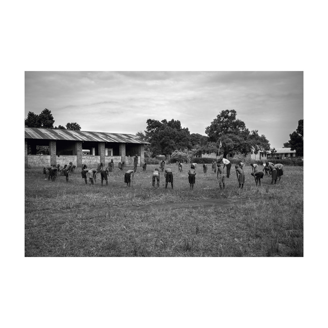 THE CIRCLE